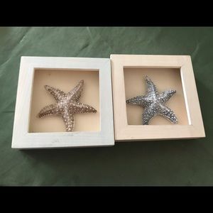 Starfish Photos
